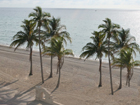 Pinellas Chambers of Commerce